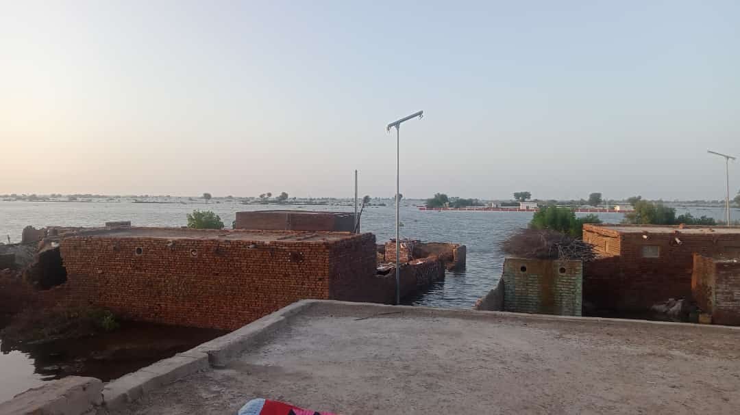 Landsbyen Umeed Ali Junejo oversvømt i Sindh